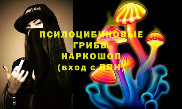 прущие грибы Новозыбков