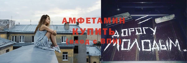 прущие грибы Новозыбков