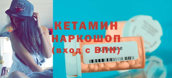 прущие грибы Новозыбков