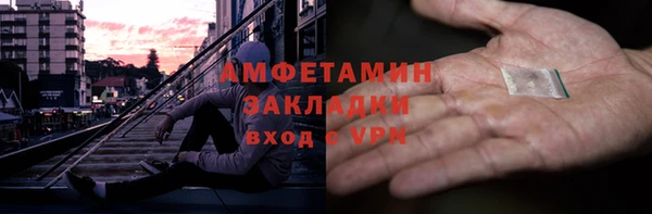 прущие грибы Новозыбков