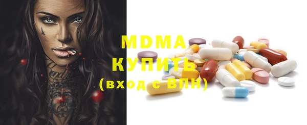 прущие грибы Новозыбков