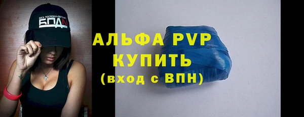 прущие грибы Новозыбков