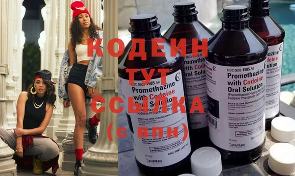 прущие грибы Новозыбков