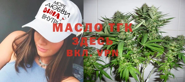 прущие грибы Новозыбков