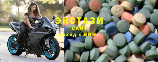прущие грибы Новозыбков