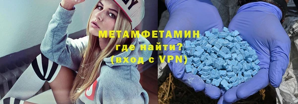 прущие грибы Новозыбков