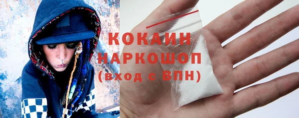 прущие грибы Новозыбков