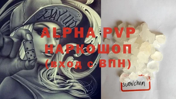 гидра Новокубанск