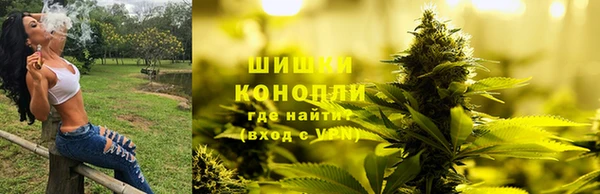 гидра Новокубанск